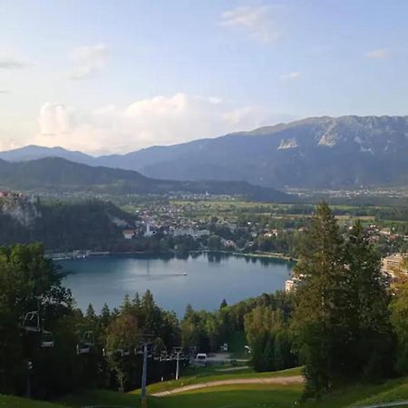 Apartment Mojca Near Bled Zabreznica Eksteriør bilde